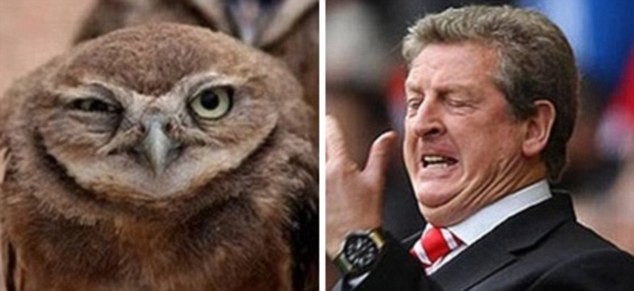 Khuôn mặt của HLV Roy Hodgson căng thẳng trong một trận đấu nhiều cảm xúc trông giống như hình ảnh chim cú nâu đang suy tư.